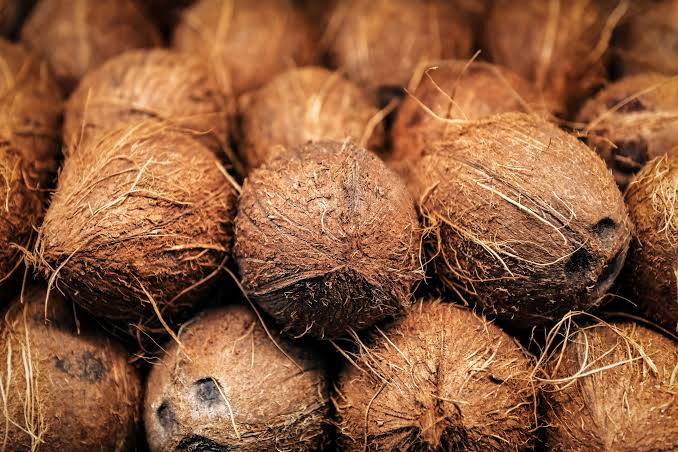 High-Yield Coconuts