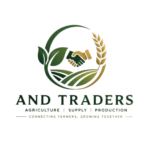 AND Traders Logo